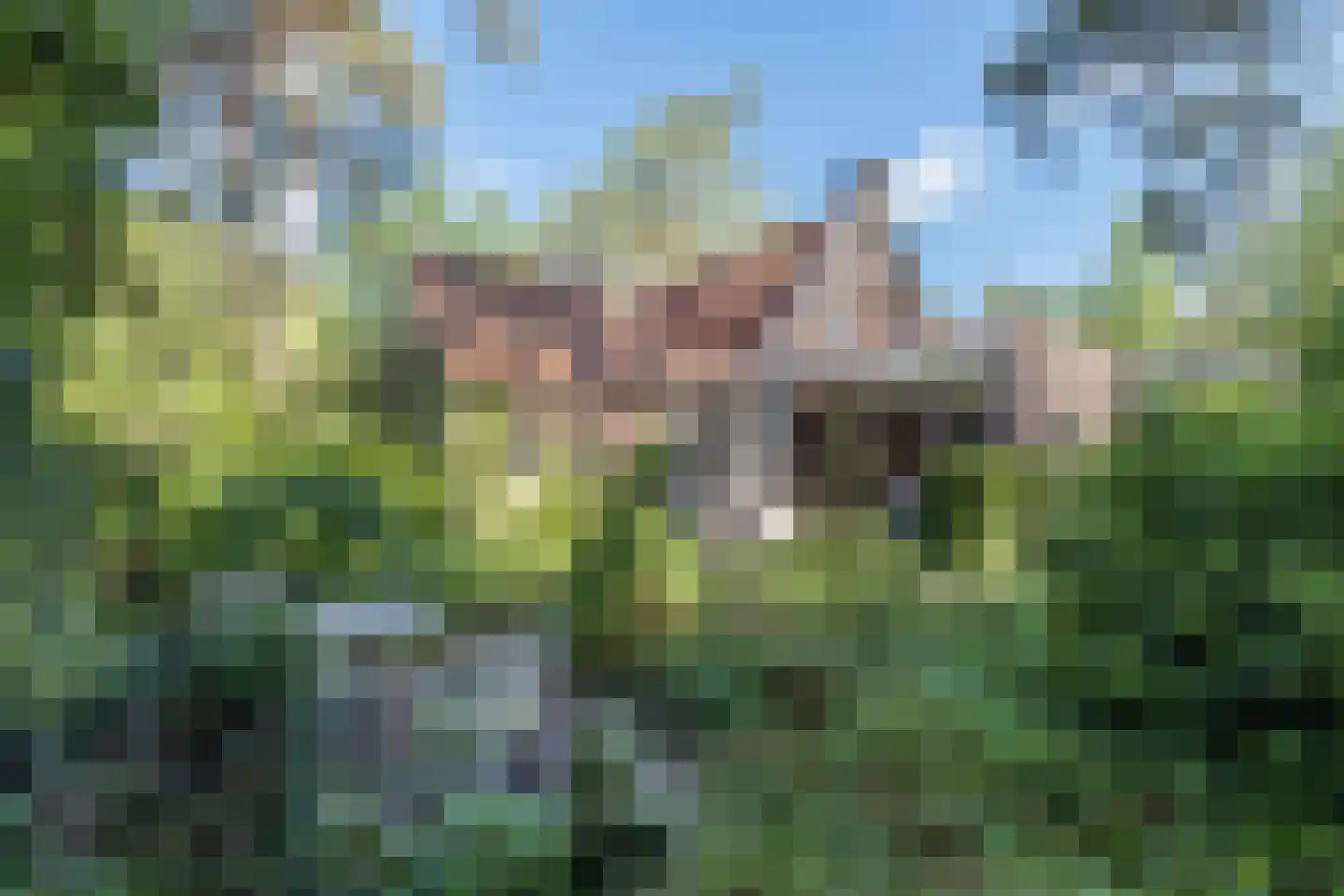 Raadhuislaan 8 Maarn