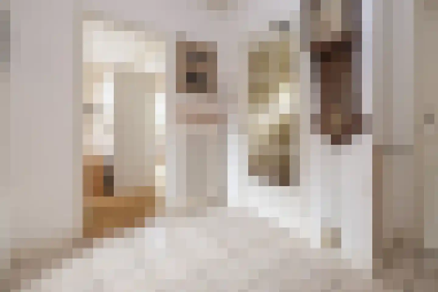 Raadhuislaan 8 Maarn thumbnail 21
