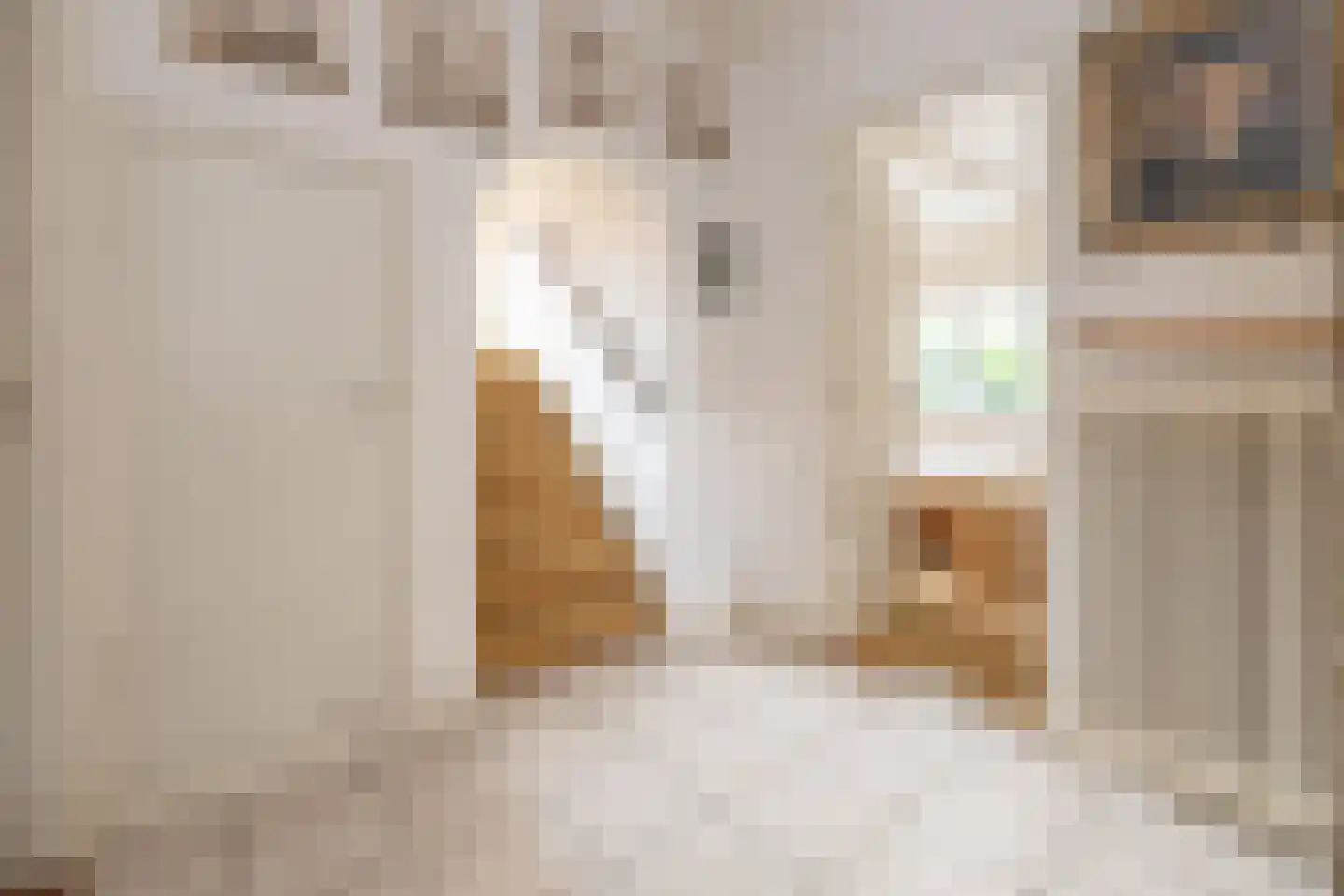 Raadhuislaan 8 Maarn thumbnail 23