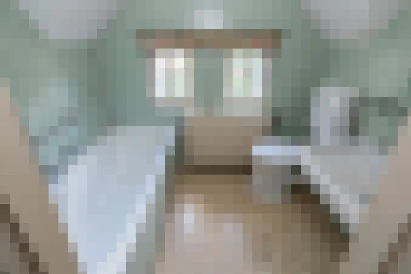 Raadhuislaan 8 Maarn thumbnail 31
