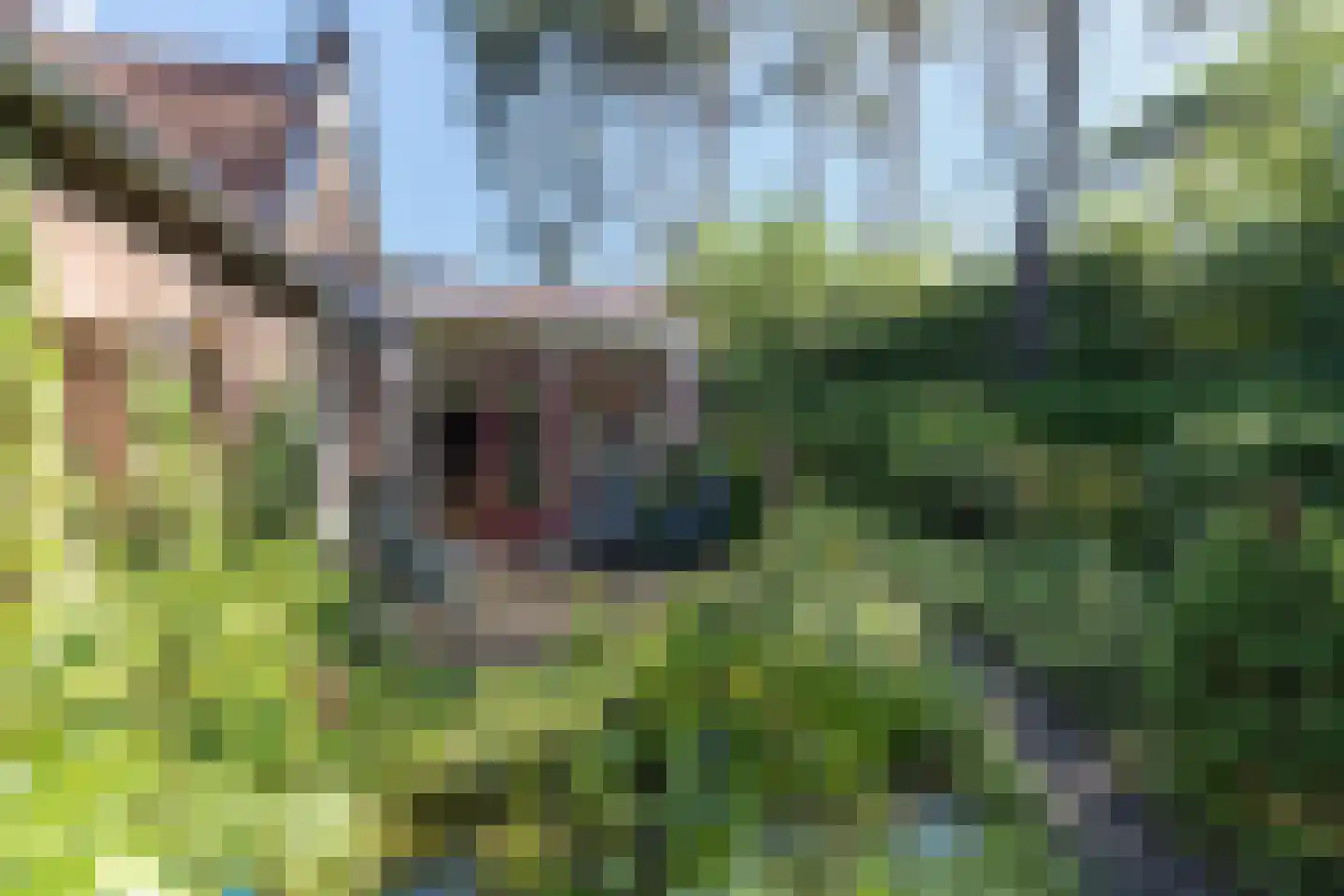 Raadhuislaan 8 Maarn thumbnail 39