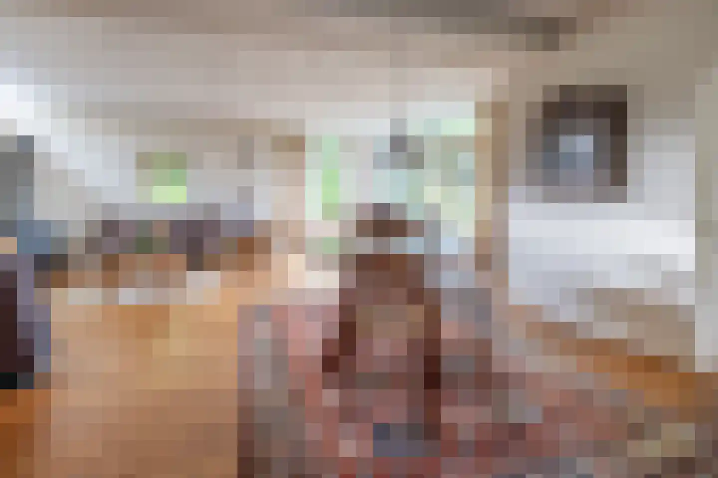 Raadhuislaan 8 Maarn thumbnail 4