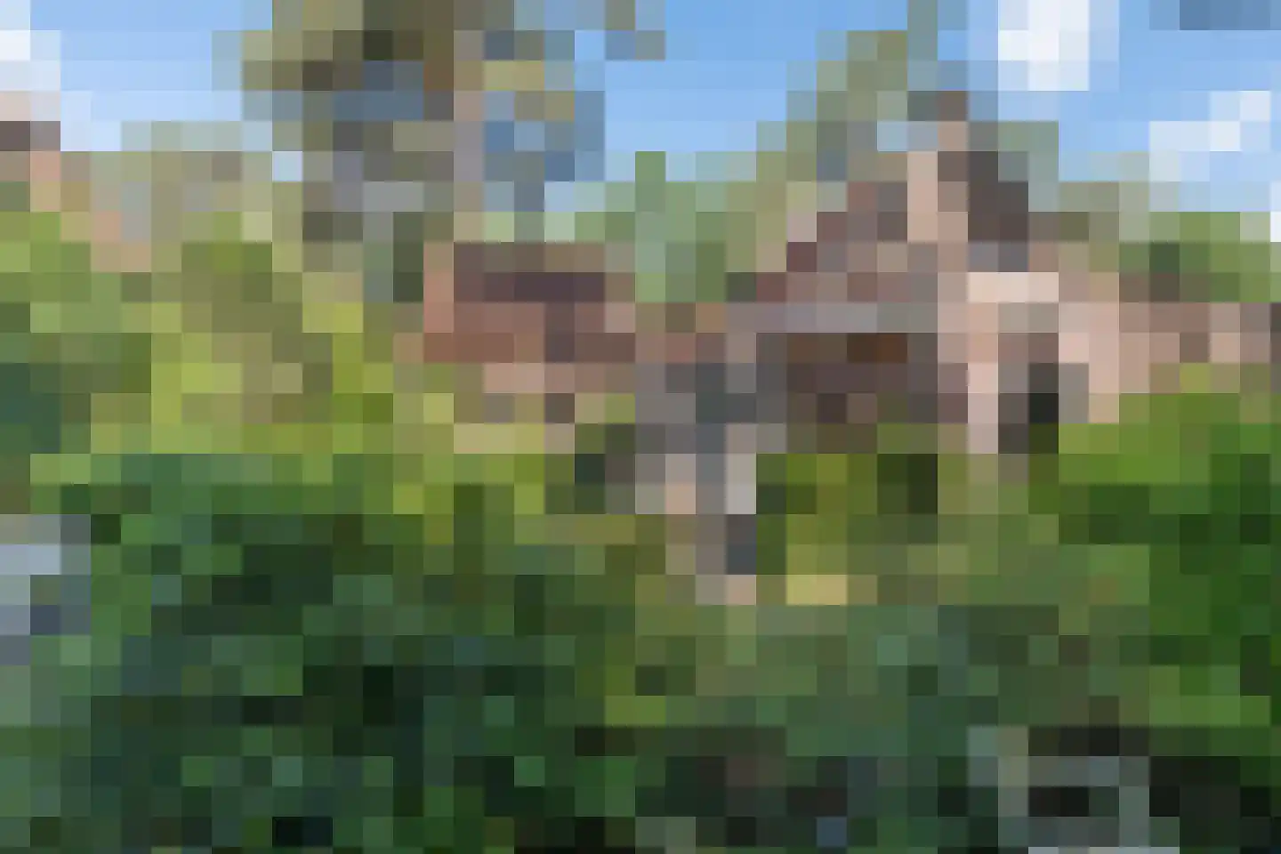 Raadhuislaan 8 Maarn thumbnail 42