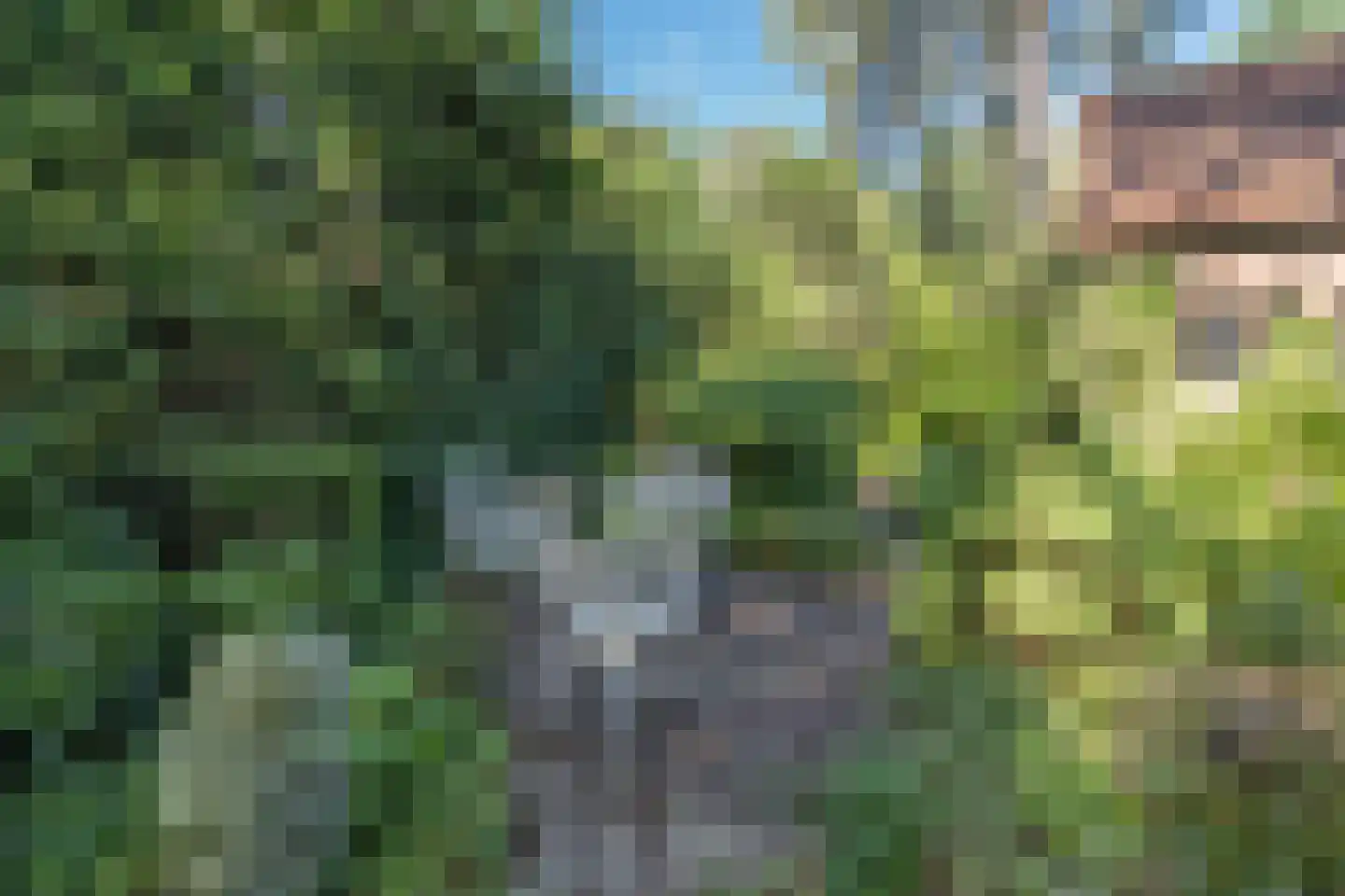 Raadhuislaan 8 Maarn thumbnail 44