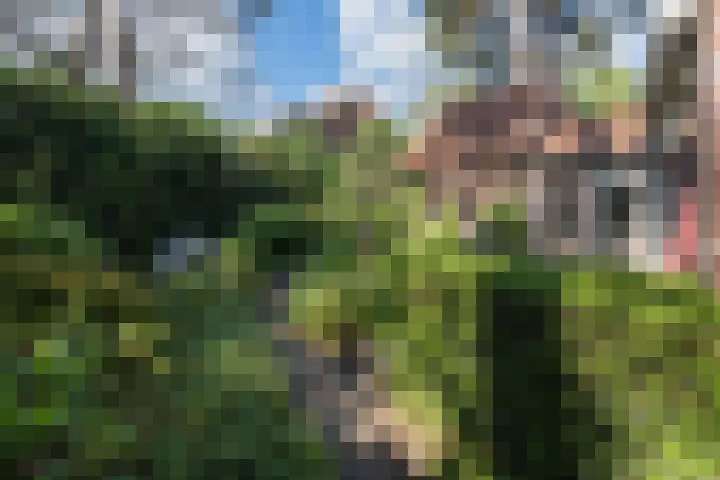 Raadhuislaan 8 Maarn thumbnail 45
