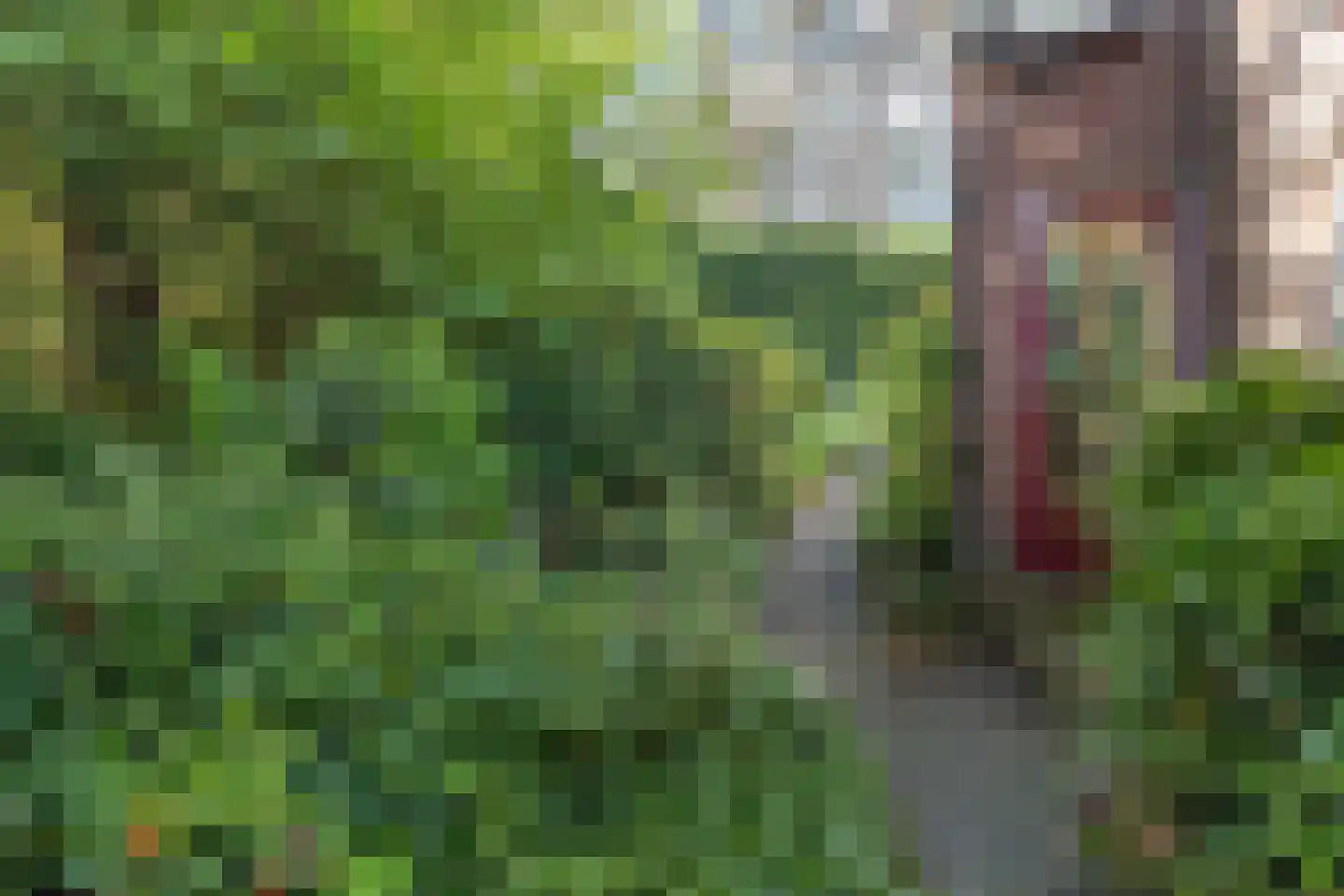 Raadhuislaan 8 Maarn thumbnail 46