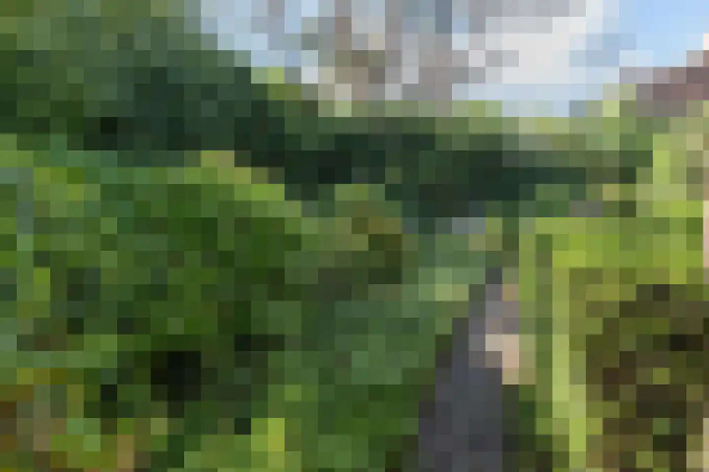 Raadhuislaan 8 Maarn thumbnail 47