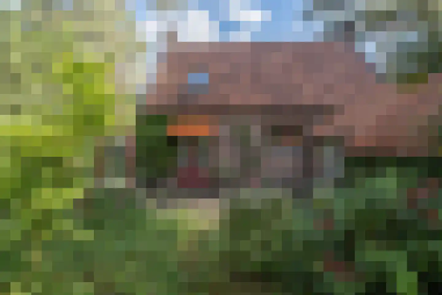 Raadhuislaan 8 Maarn thumbnail 48