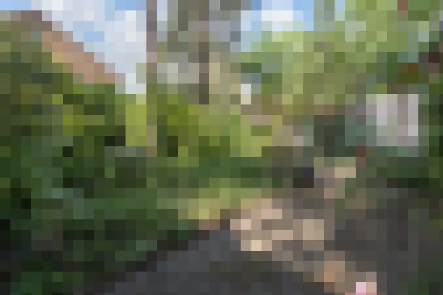 Raadhuislaan 8 Maarn thumbnail 49