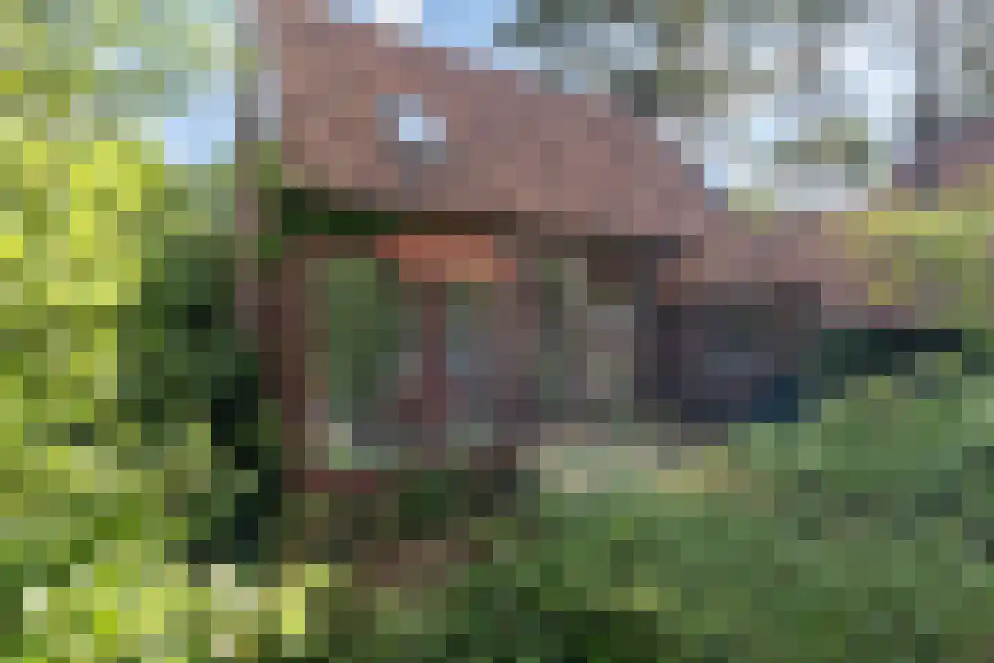 Raadhuislaan 8 Maarn thumbnail 51