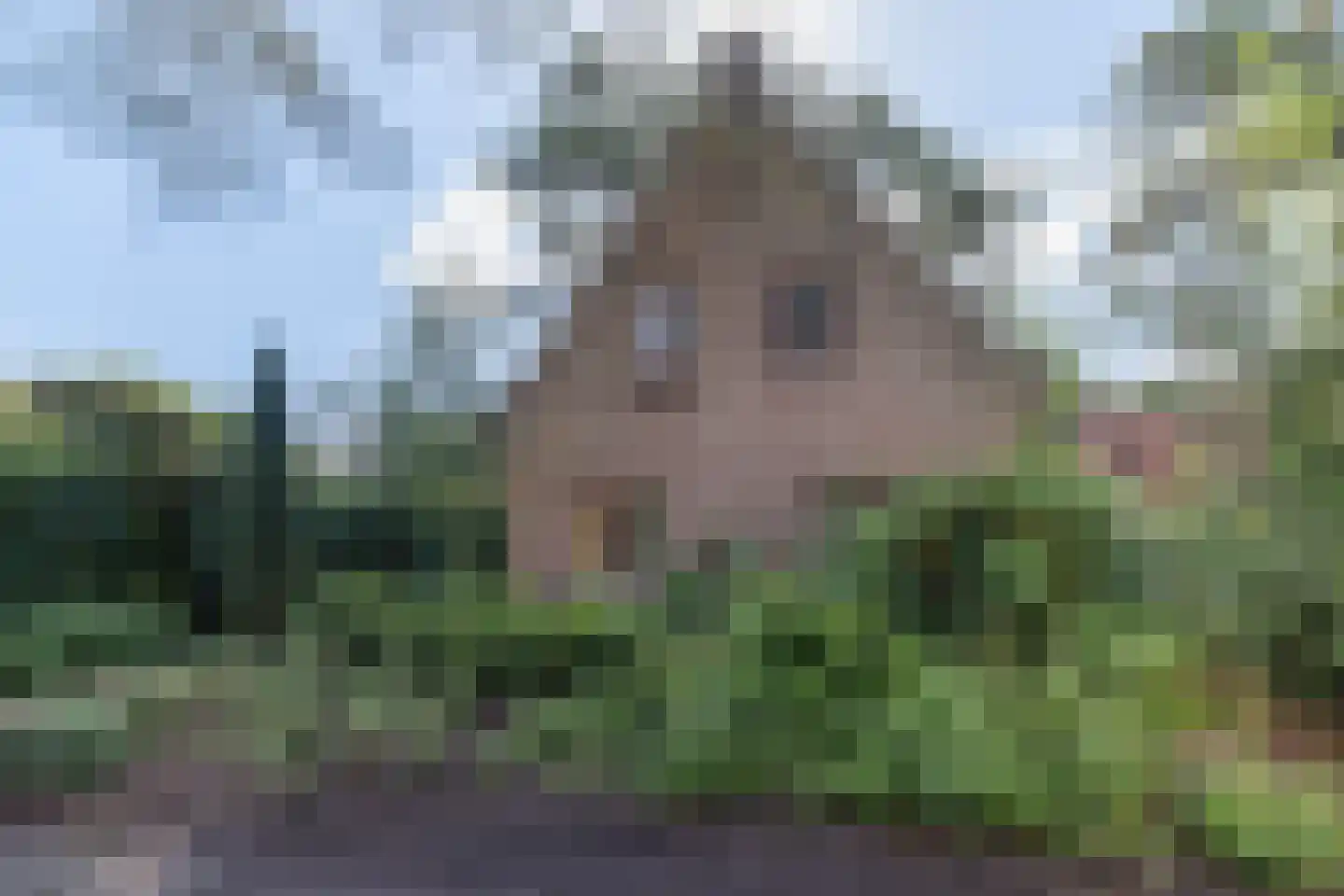 Raadhuislaan 8 Maarn thumbnail 52