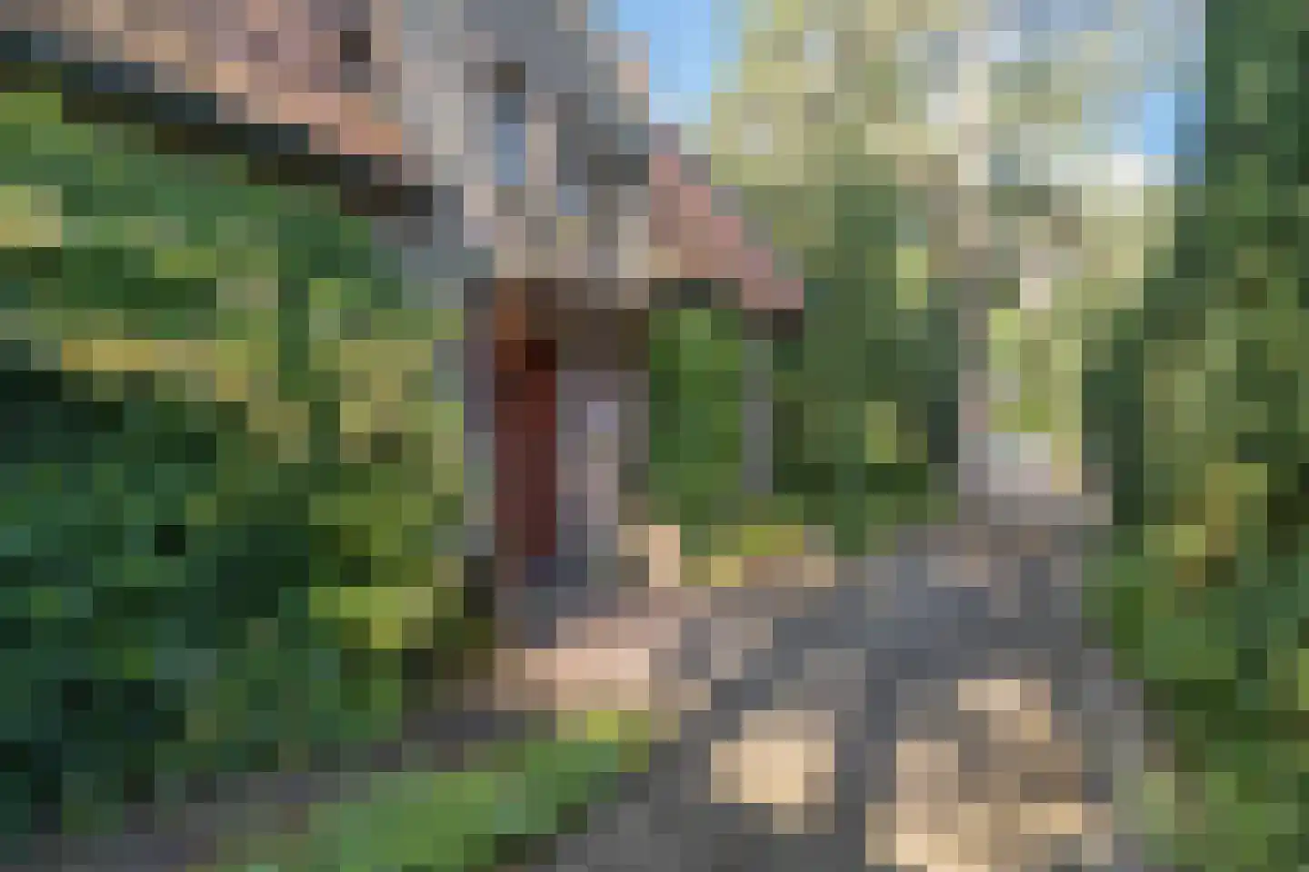 Raadhuislaan 8 Maarn thumbnail 54