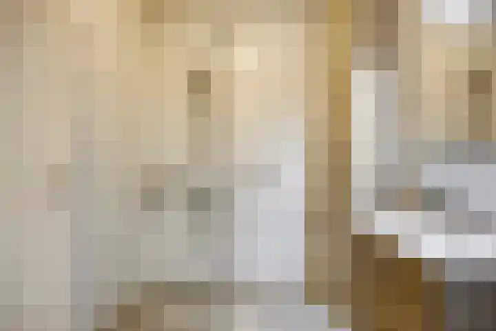 Raadhuislaan 83 Oss thumbnail 19