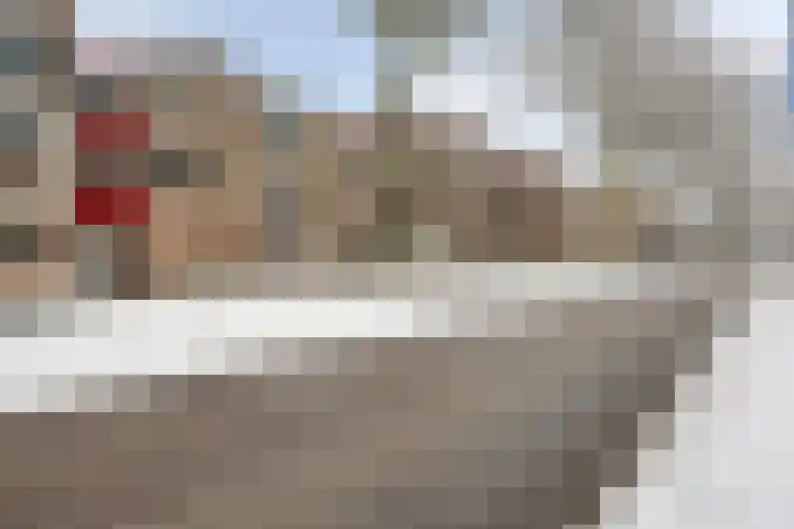 Raadhuislaan 83 Oss thumbnail 32