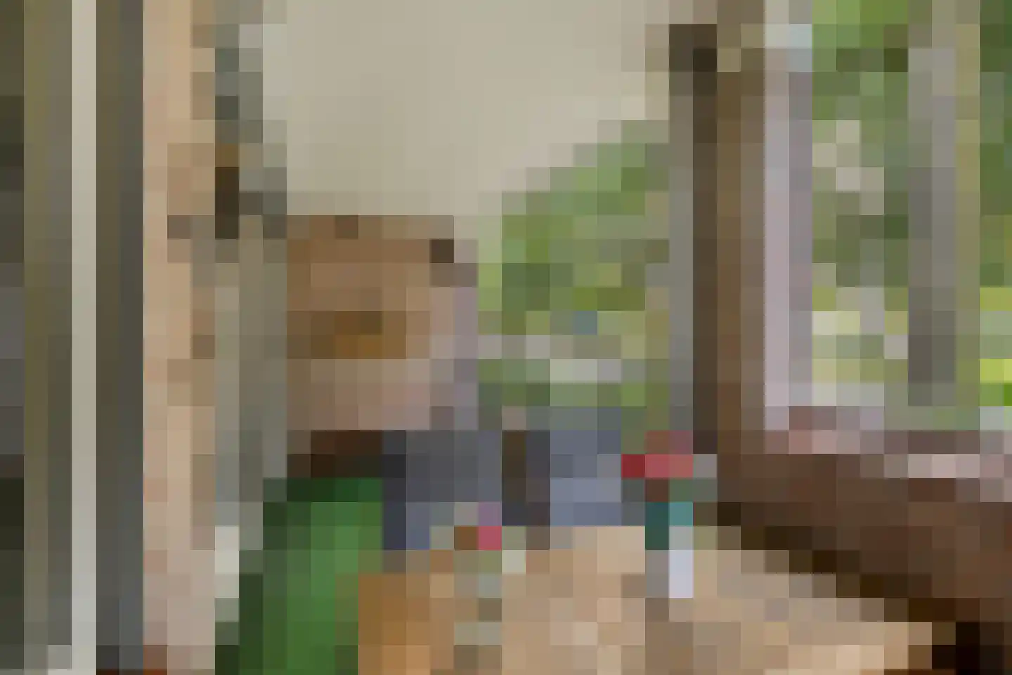 Raadhuislaan 87 Oss thumbnail 10
