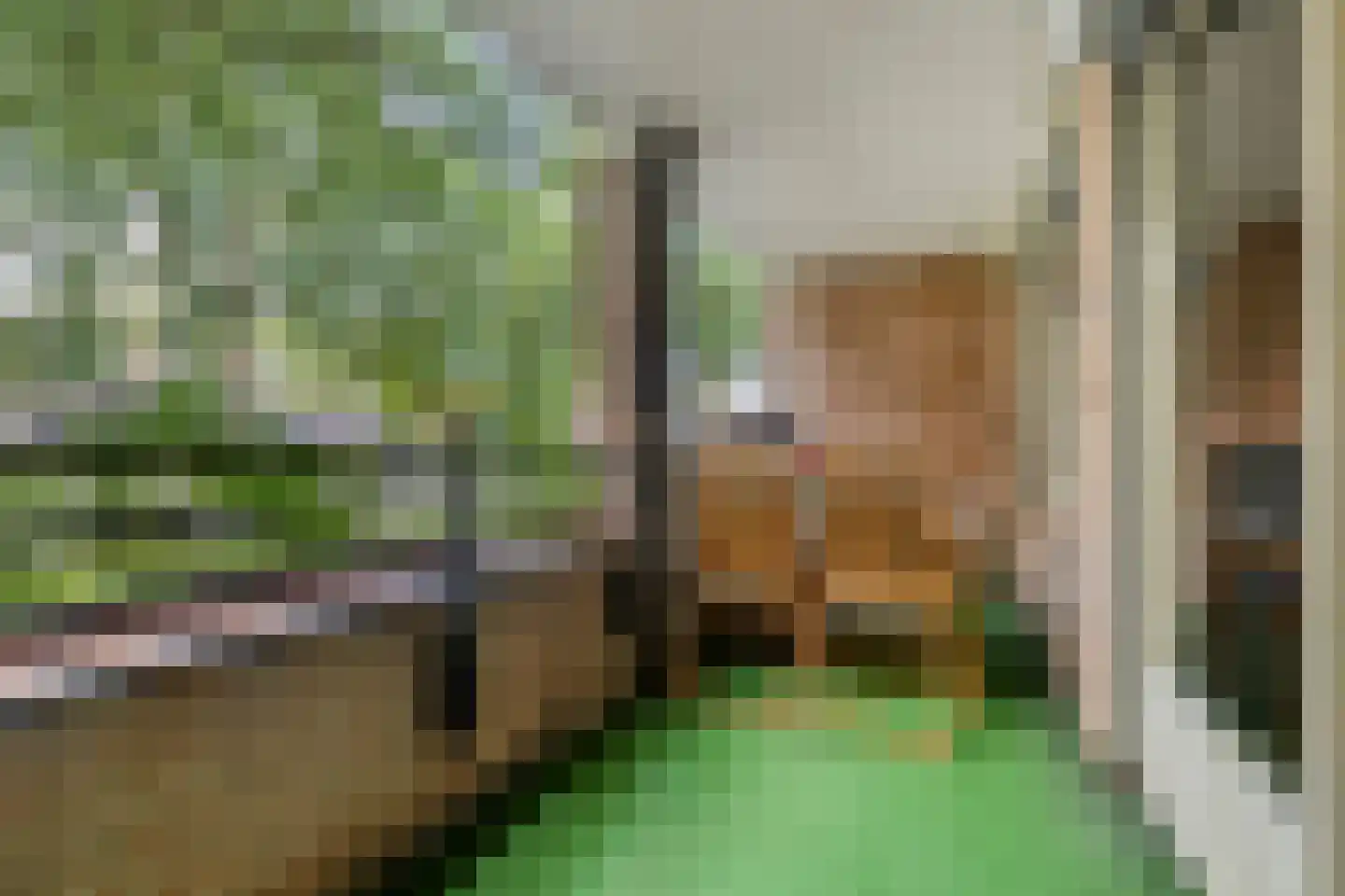 Raadhuislaan 87 Oss thumbnail 11