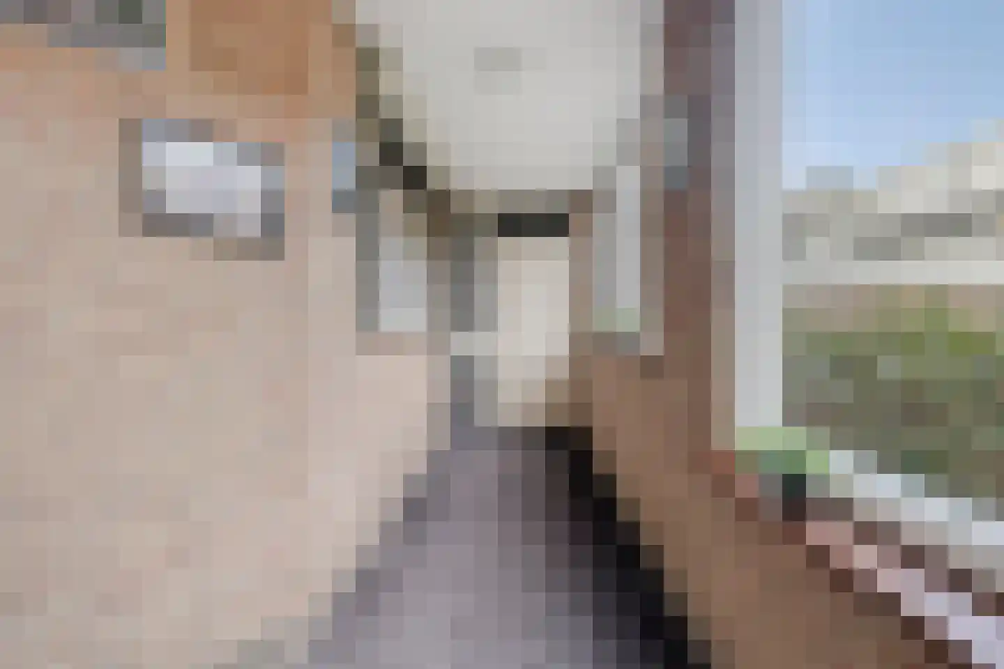 Raadhuislaan 87 Oss thumbnail 18