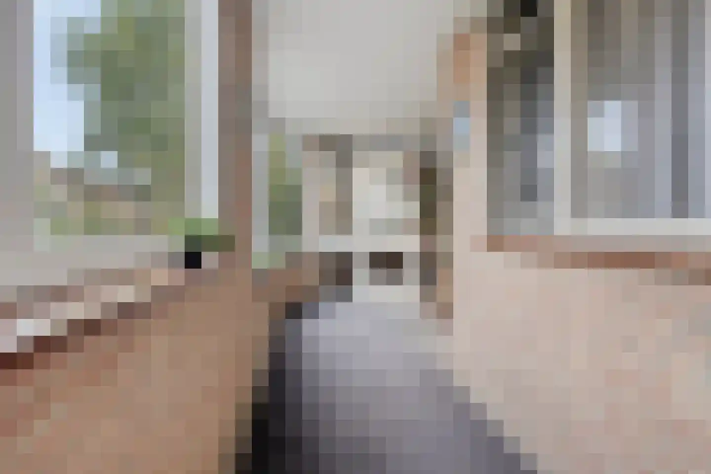 Raadhuislaan 87 Oss thumbnail 19