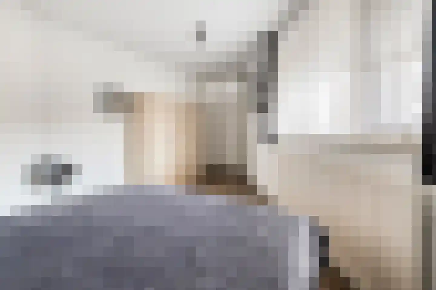 Raadhuislaan 87 Oss thumbnail 9