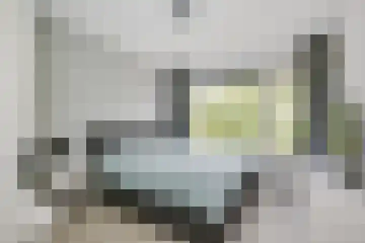 Raadhuislaan 88 Voorschoten thumbnail 18