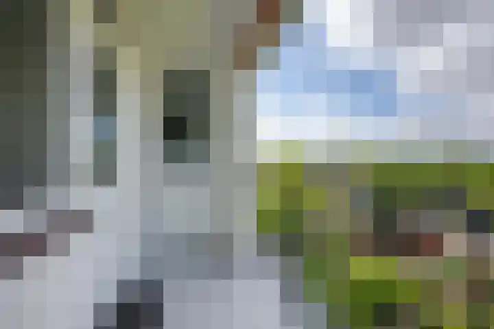 Raadhuislaan 88 Voorschoten thumbnail 25
