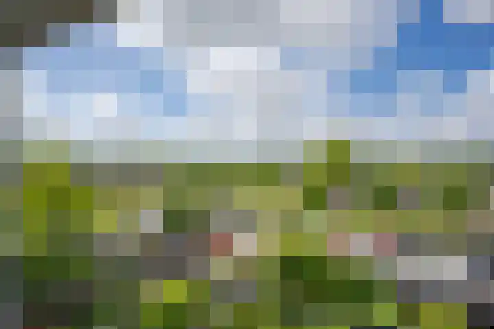Raadhuislaan 88 Voorschoten thumbnail 26