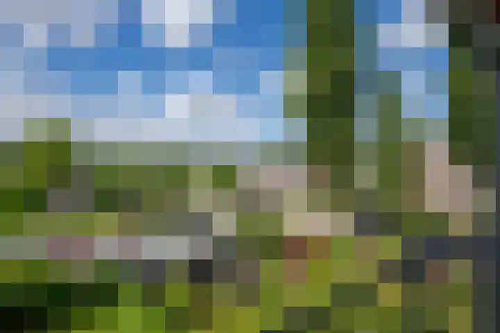Raadhuislaan 88 Voorschoten thumbnail 27