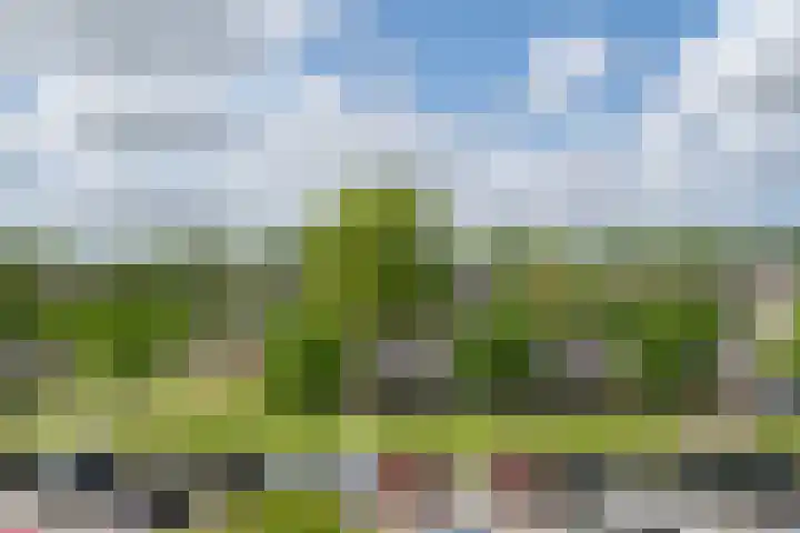 Raadhuislaan 88 Voorschoten thumbnail 28