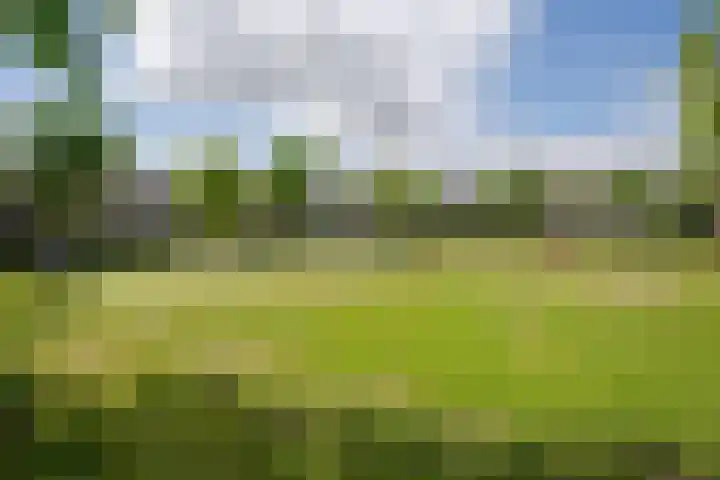 Raadhuislaan 88 Voorschoten thumbnail 32