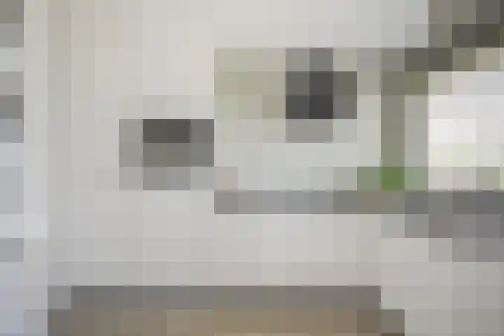 Raadhuislaan 88 Voorschoten thumbnail 4