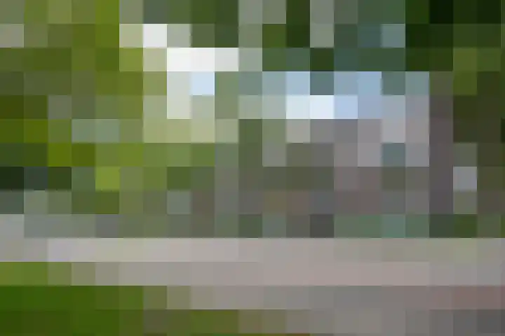Raadhuislaan 88 Voorschoten thumbnail 5