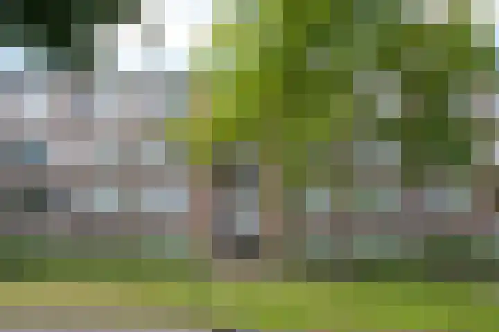 Raadhuislaan 88 Voorschoten thumbnail 8