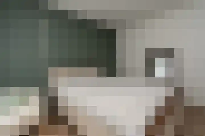 Raadhuislaan 89 Oude Pekela thumbnail 23