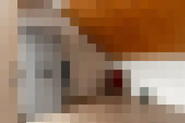 Raadhuislaan 89 Oude Pekela thumbnail 31