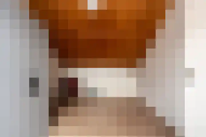 Raadhuislaan 89 Oude Pekela thumbnail 32