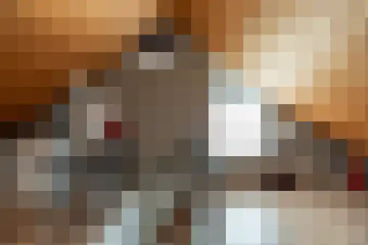 Raadhuislaan 89 Oude Pekela thumbnail 33