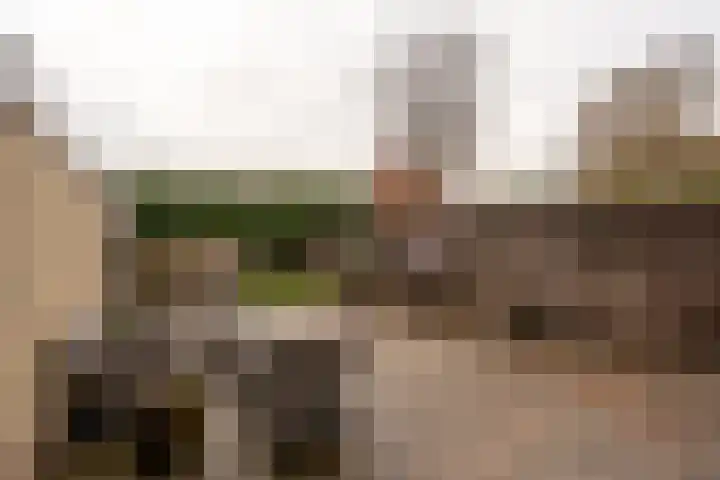 Raadhuislaan 89 Oude Pekela thumbnail 35