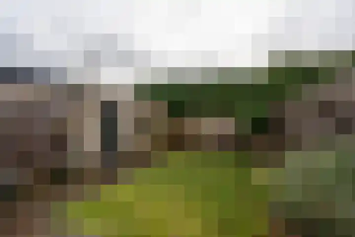 Raadhuislaan 89 Oude Pekela thumbnail 36