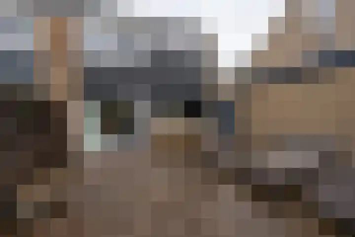 Raadhuislaan 89 Oude Pekela thumbnail 37