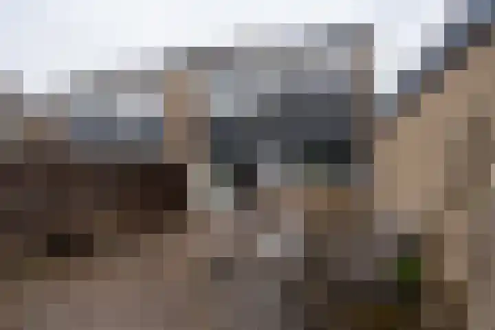 Raadhuislaan 89 Oude Pekela thumbnail 38