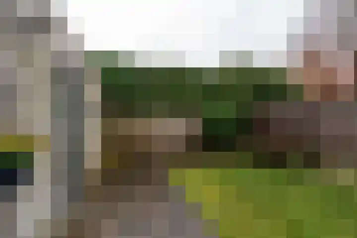 Raadhuislaan 89 Oude Pekela thumbnail 39
