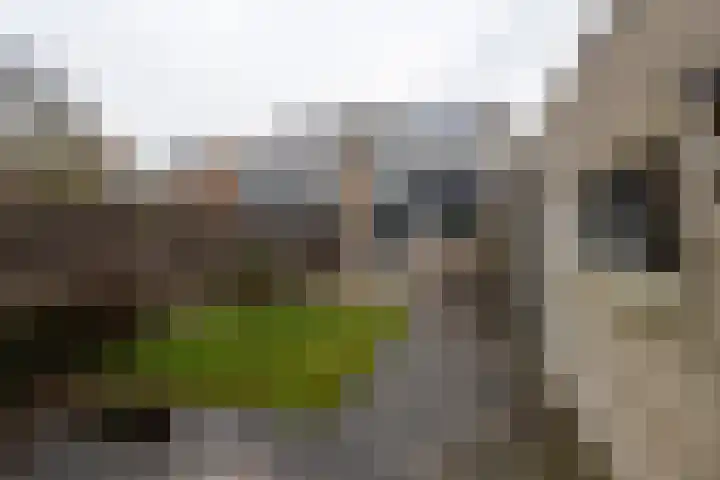 Raadhuislaan 89 Oude Pekela thumbnail 40