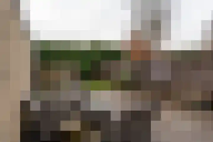 Raadhuislaan 89 Oude Pekela thumbnail 43