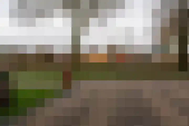 Raadhuislaan 89 Oude Pekela thumbnail 44