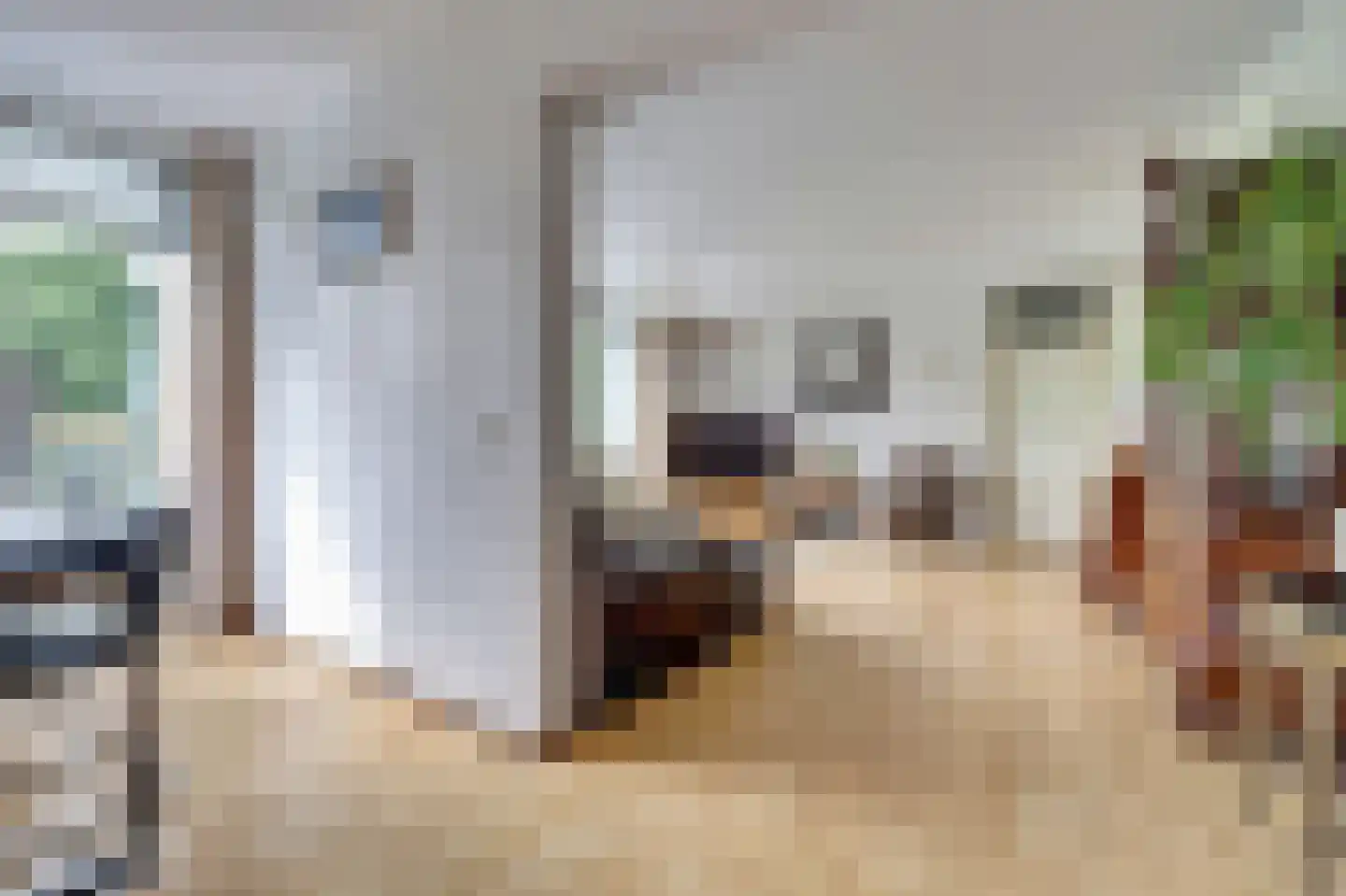 Raadhuislaan 89 Spijkenisse thumbnail 11