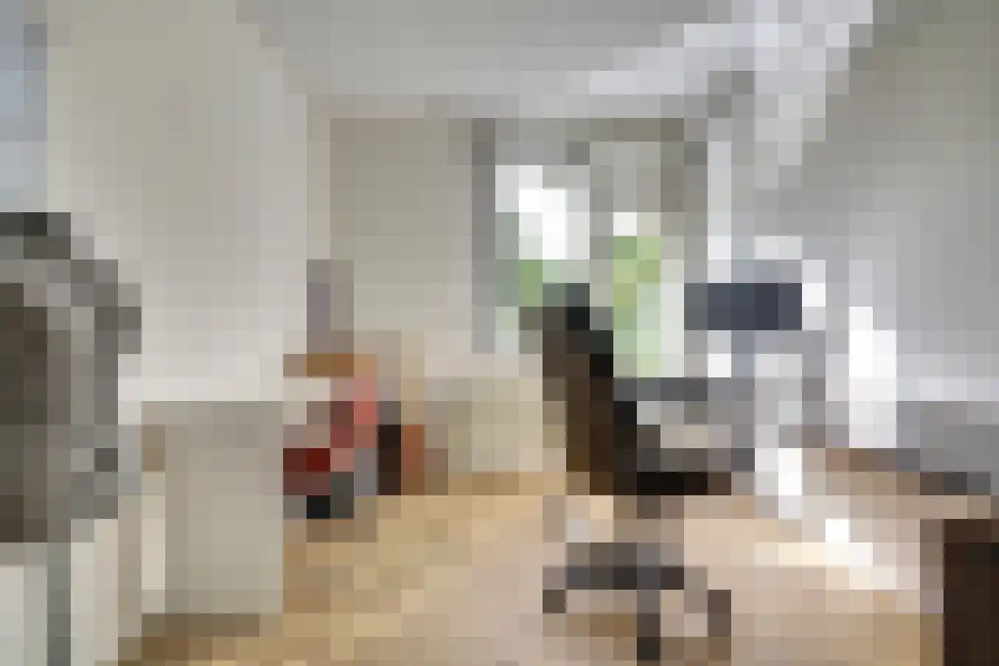 Raadhuislaan 89 Spijkenisse thumbnail 22