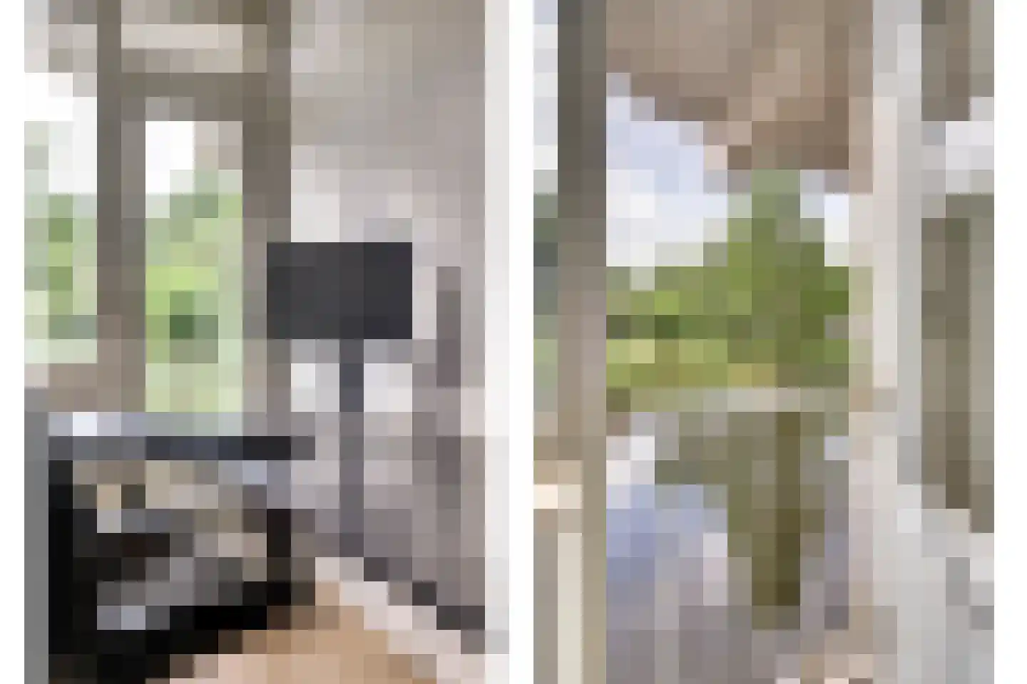 Raadhuislaan 89 Spijkenisse thumbnail 23
