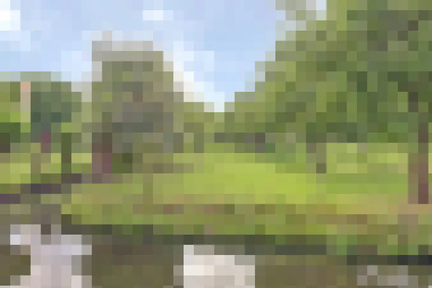 Raadhuislaan 89 Spijkenisse thumbnail 29