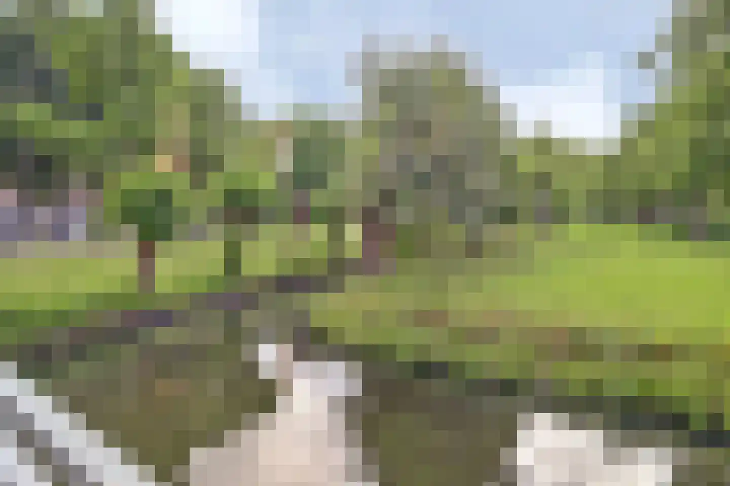 Raadhuislaan 89 Spijkenisse thumbnail 32