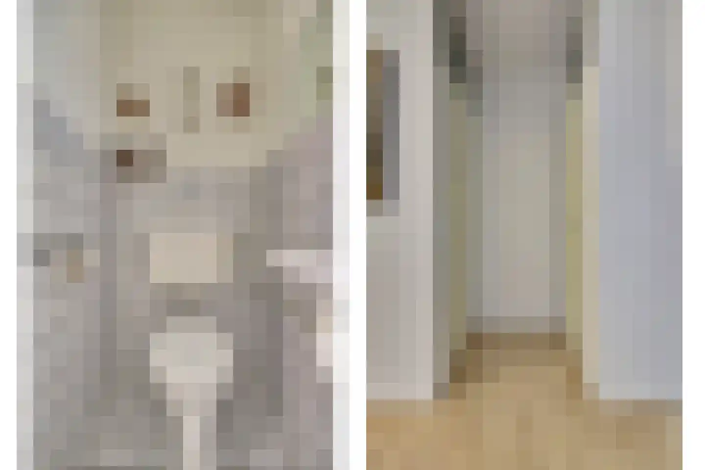 Raadhuislaan 89 Spijkenisse thumbnail 34